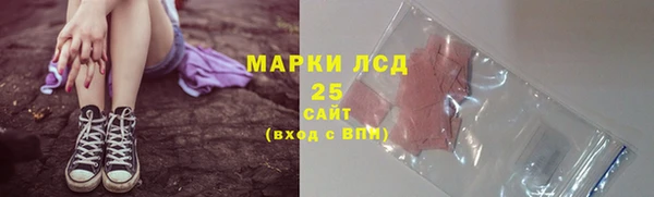 шишки Армянск