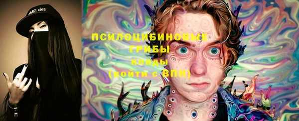 MDMA Premium VHQ Аркадак