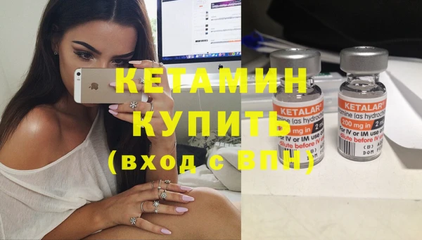 шишки Армянск